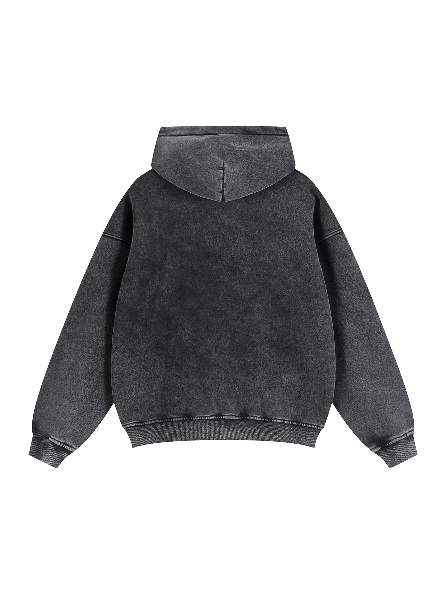 Washed Aeonia Hoodie